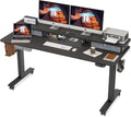 48 x 24 Inch Electric Standing Desk with Double Drawer P60188