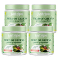 Super Greens Powder Smoothie Mix 4pk U1602