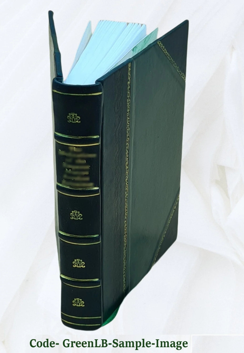 Leather Bound Book U855