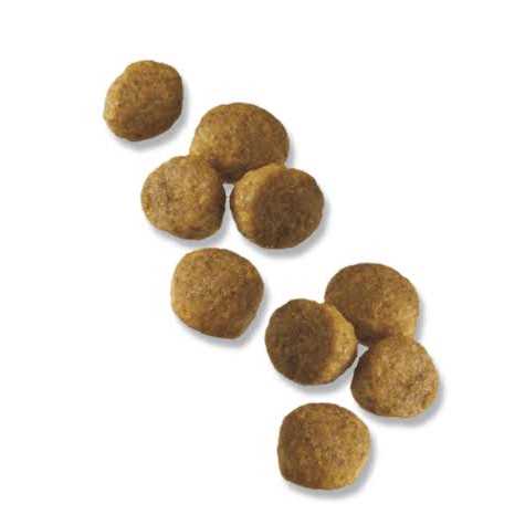 Chicken & Rice Formula Small Breed Dry Dog Food G524