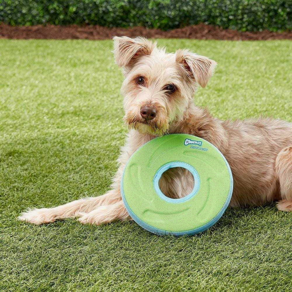 Dog Toy B806645