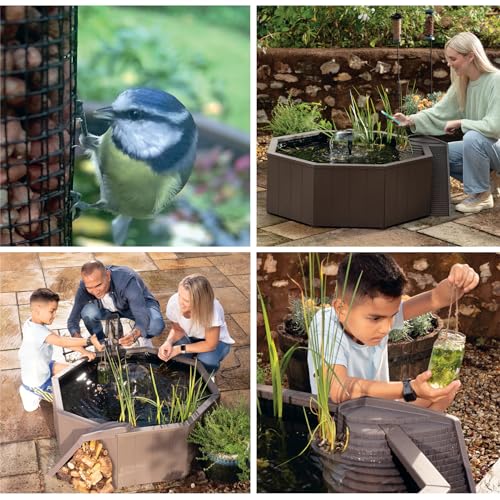 Raised Window Pond Kit X84545