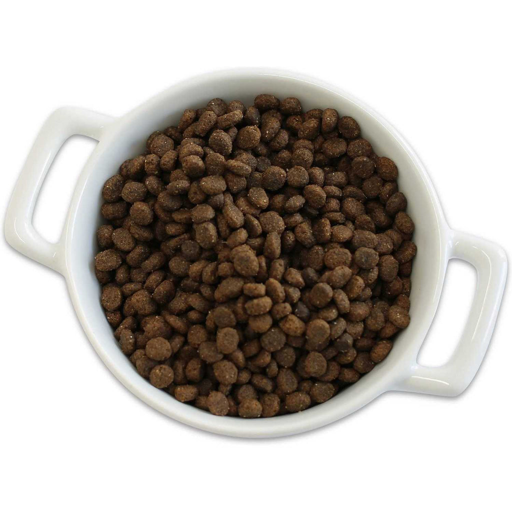 Grain Free Salmon & Sweet Potato Dry Dog Food J85899