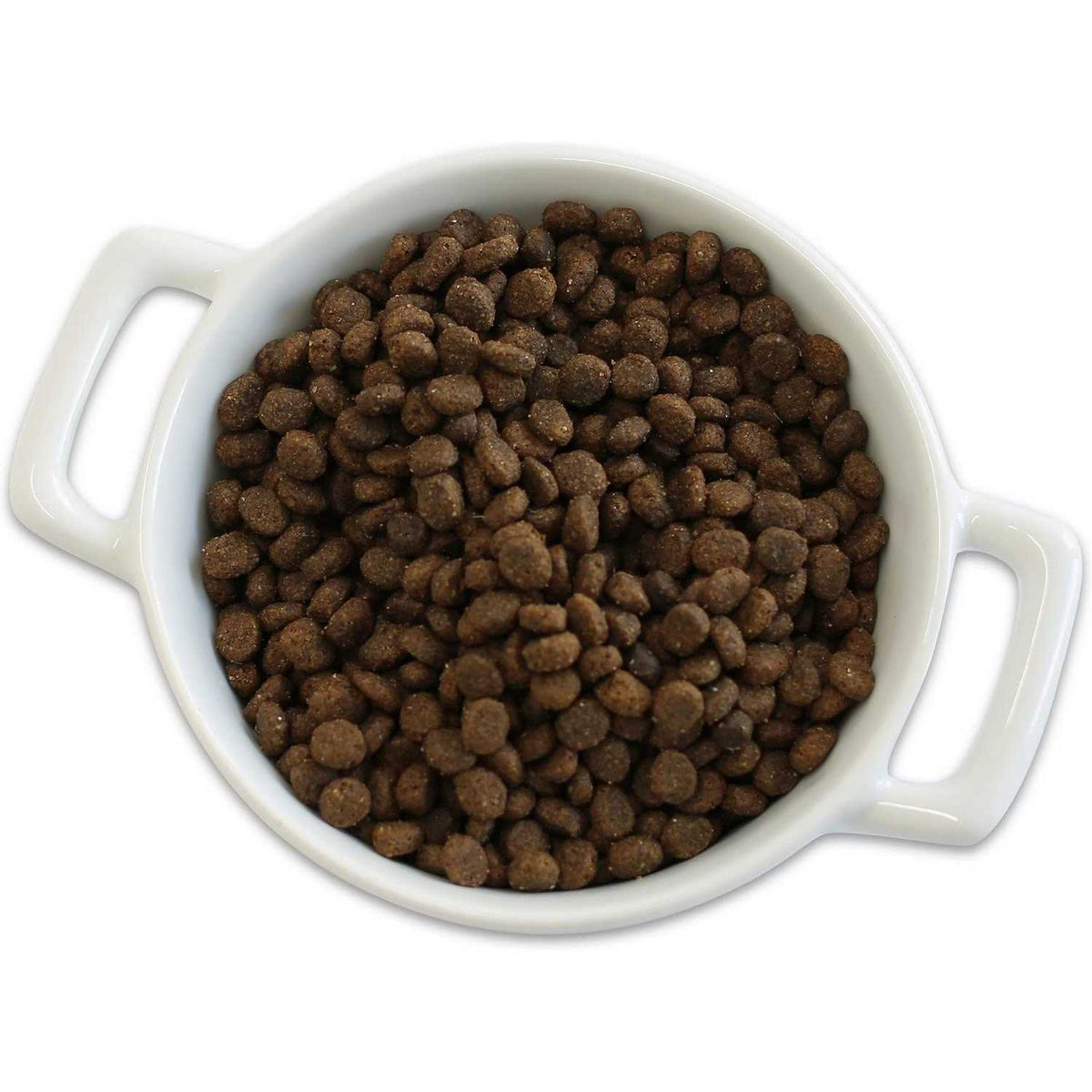Grain Free Salmon & Sweet Potato Dry Dog Food J85899