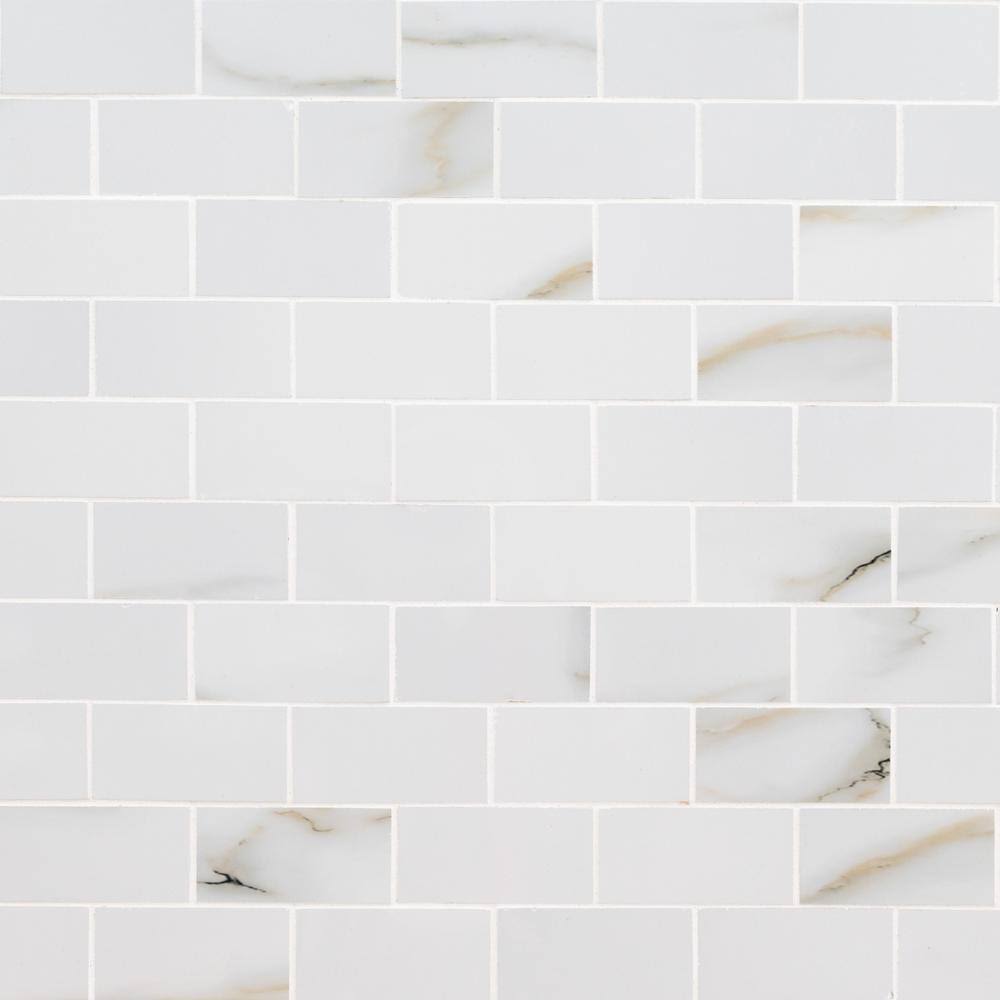 12 in. x 12 in. Polished Porcelain Mosaic Tile U22263
