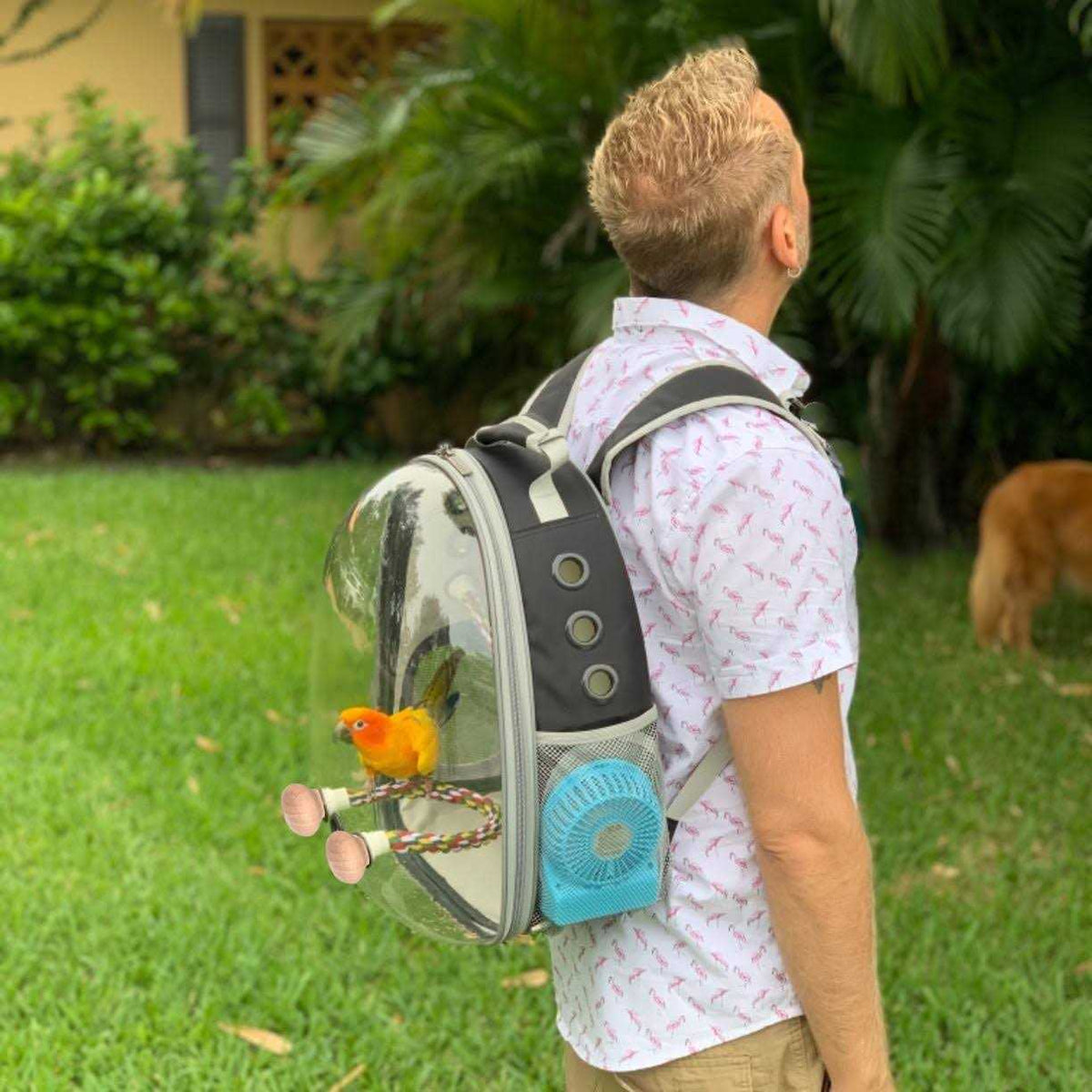 Bird Carrier Backpack with Stainless Steel Tray and Standing Perch B367123
