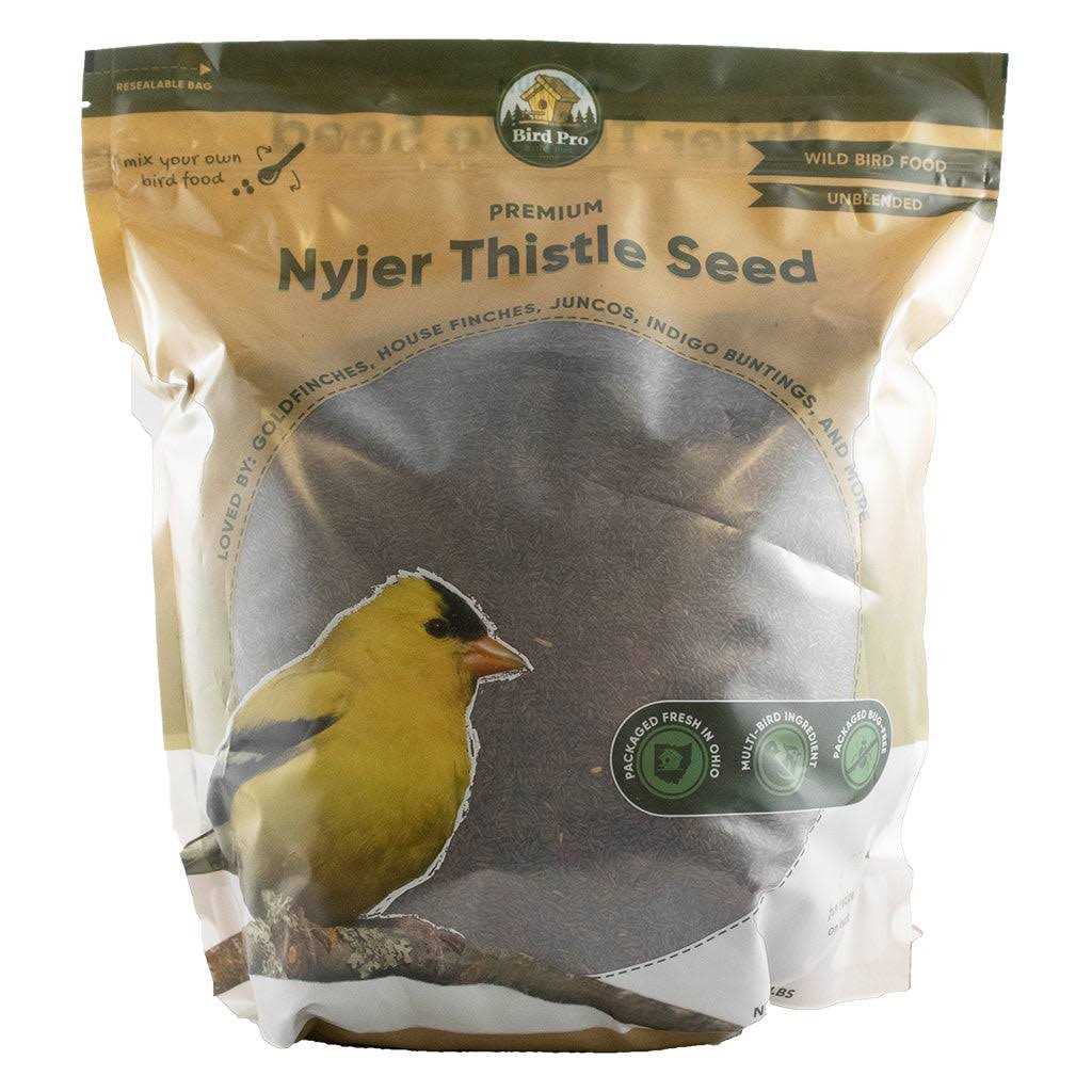 Nyjer Thistle Seed V7324