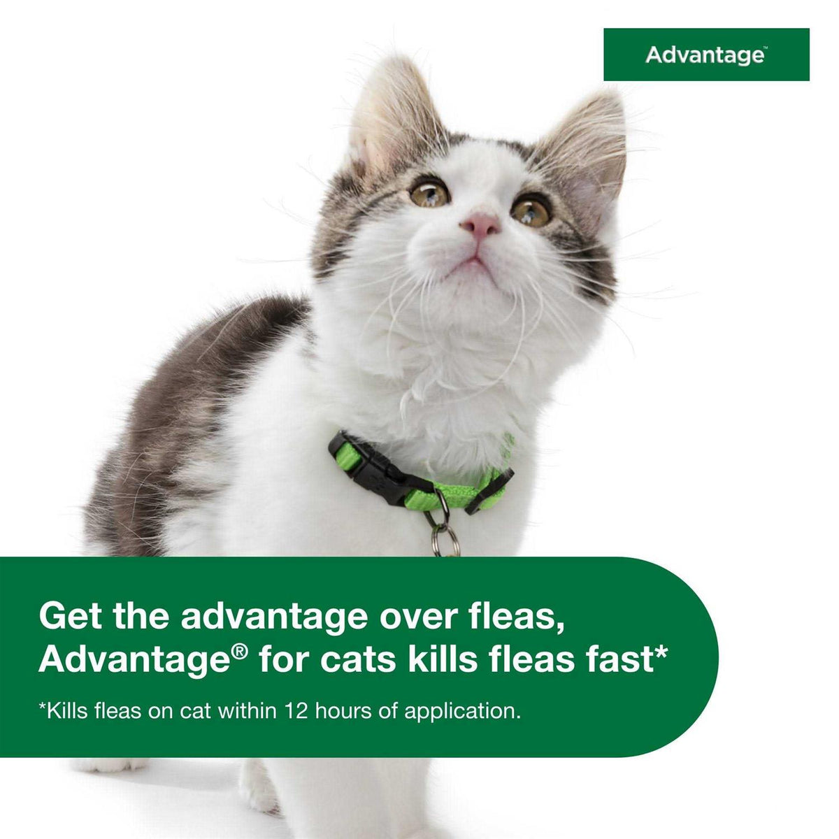 Topical Flea Prevention for Large Cats K4727