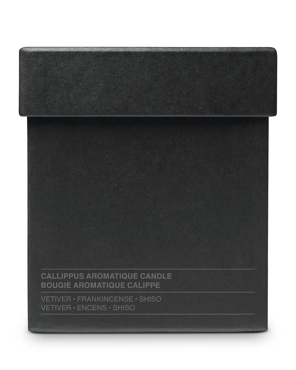 Aesop Ptolemy Candle R325058
