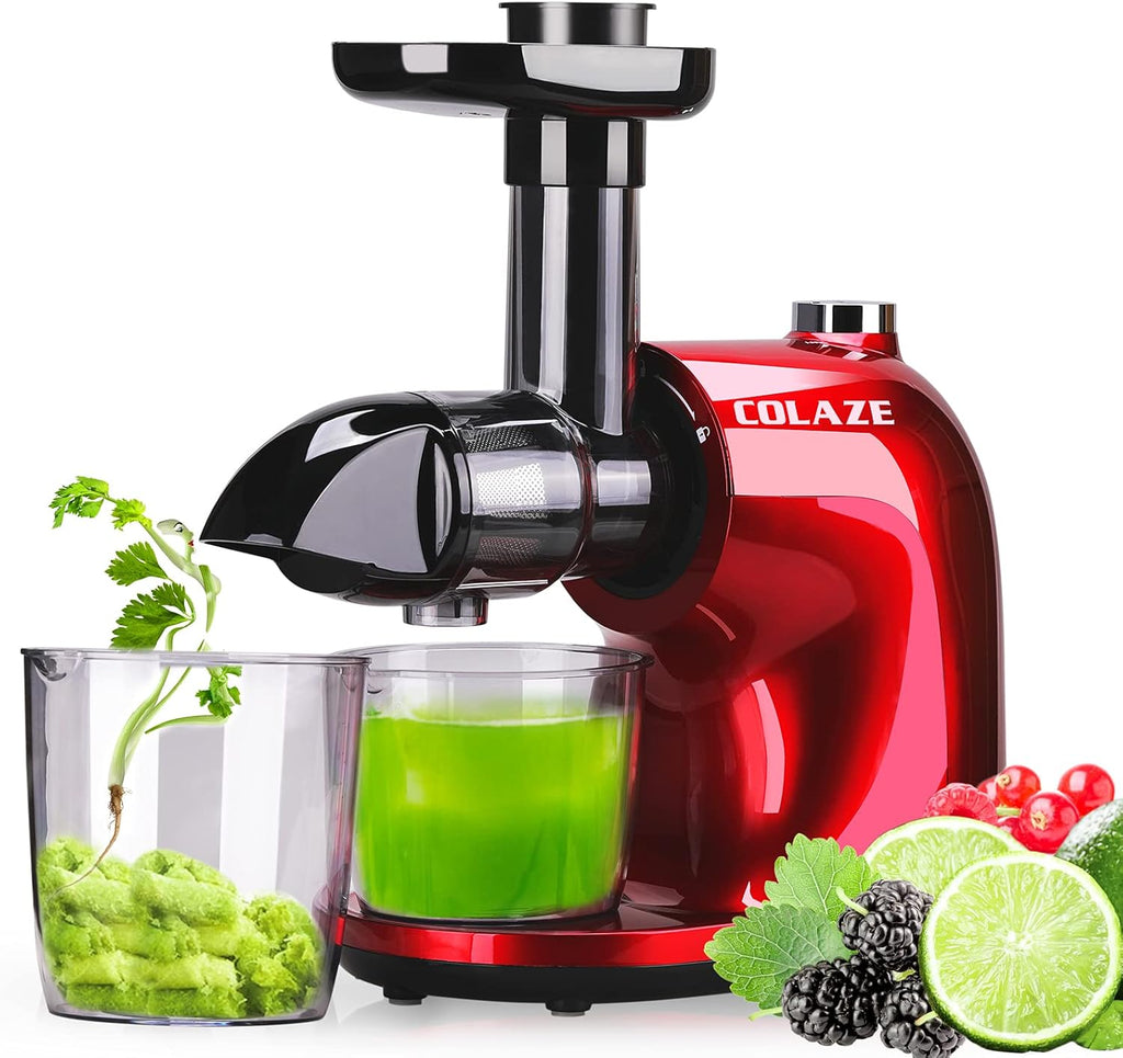 Slow Masticating Juicer with 2 Speed and Reverse Function H2413