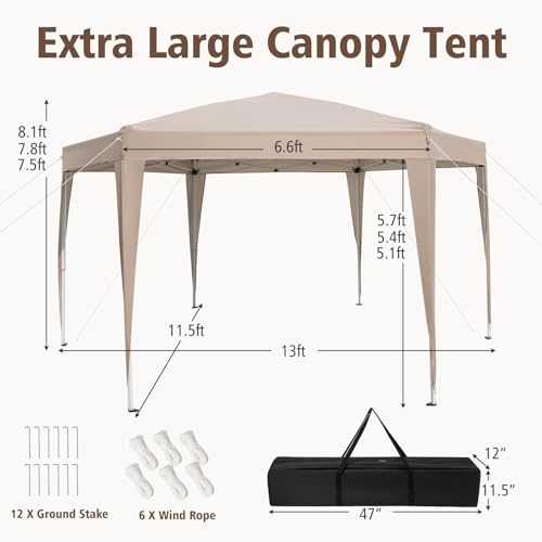 10 x 20 FT Pop Up Canopy with Carry Bag E850
