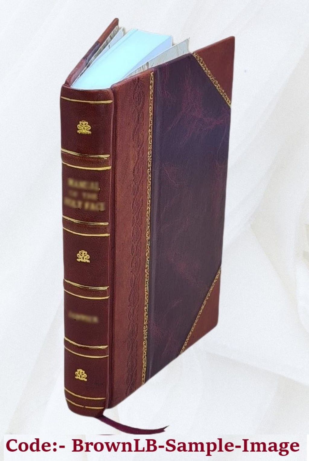 Leather Bound Book U855