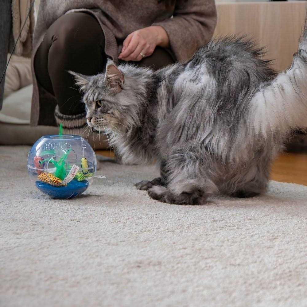 Glow Aquarium Cat Toy D840
